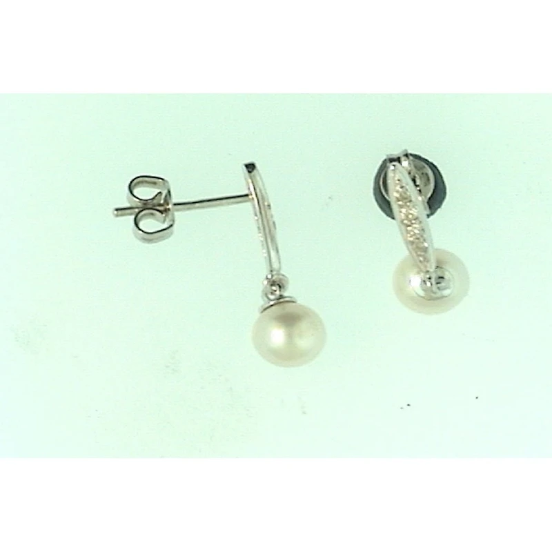 Earrings 10 Kt Roger Roy 268250