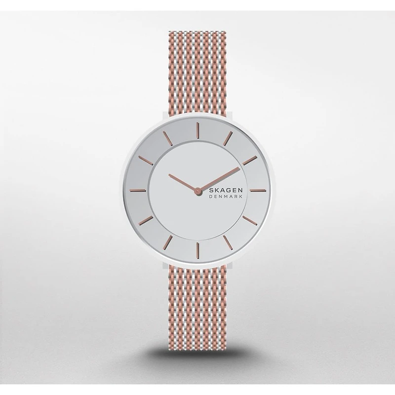 Montre Skagen Watch SKW3014