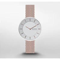 Montre Skagen Watch SKW3014