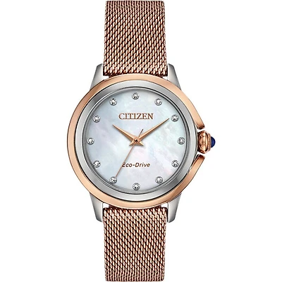 Montre Citizen Watch EM0796-75D