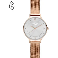 Montre Skagen Watch SKW2151