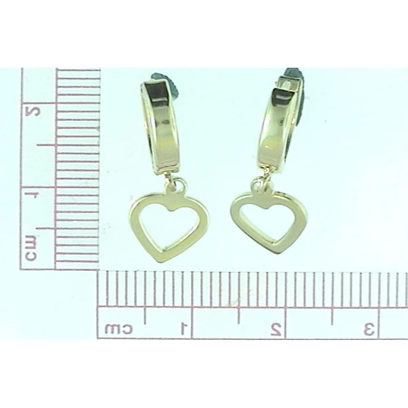 Boucles D’oreilles 10 Kt Roger Roy H70003A