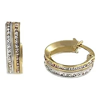 Boucles D’oreilles 10 Kt Roger Roy E200771-YW-FCZ