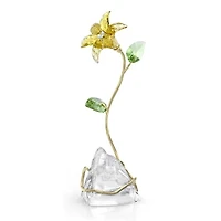 Swarovski Accessory 5666972