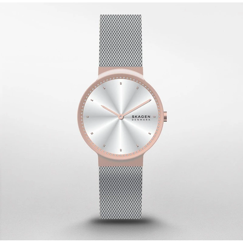 Montre Skagen Watch SKW3017