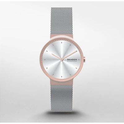 Montre Skagen Watch SKW3017