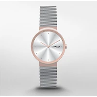 Montre Skagen Watch SKW3017