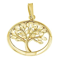Roger Roy 10 Kt Pendant P201527-YW