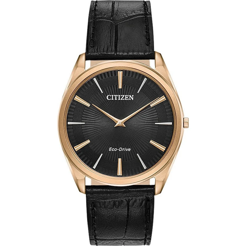 Montre Citizen Watch AR3073-06E