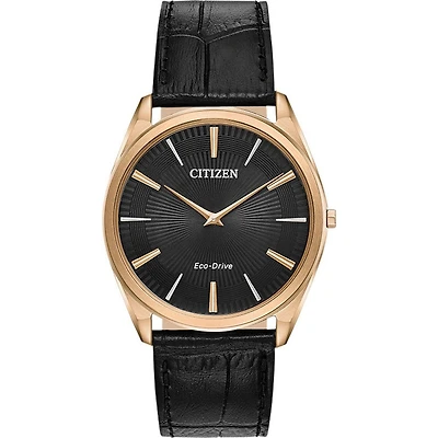 Montre Citizen Watch AR3073-06E