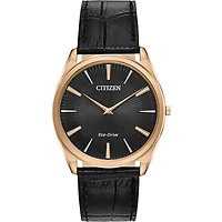 Montre Citizen Watch AR3073-06E