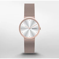 Montre Skagen Watch SKW3020