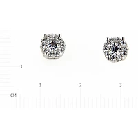 Boucles D’oreilles 10 Kt Roger Roy EB5405W