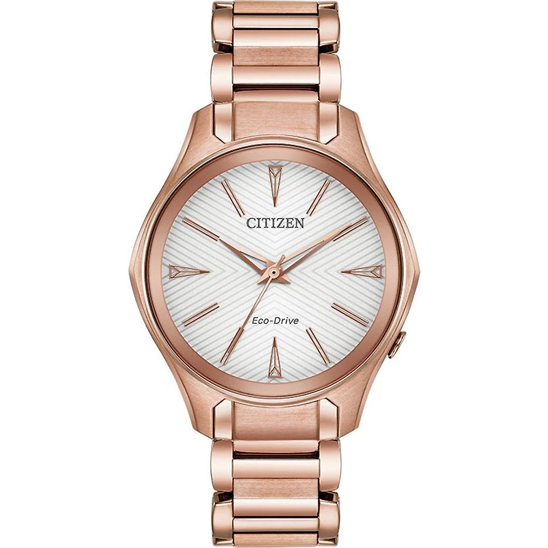 Montre Citizen Watch EM0593-56A