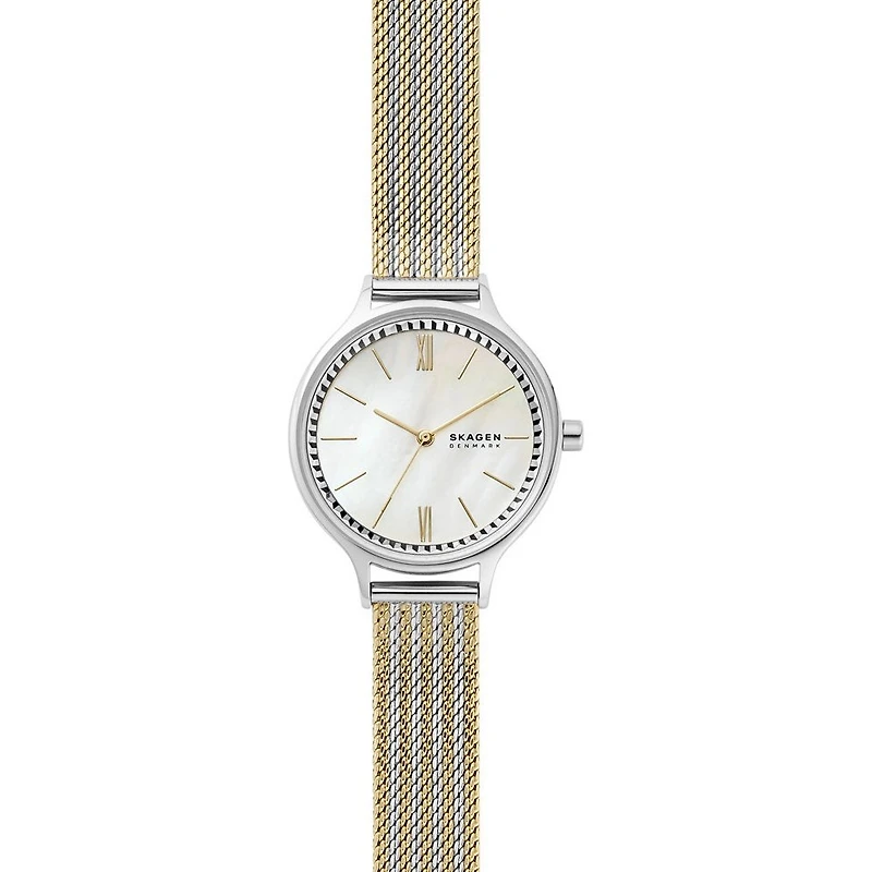 Montre Skagen Watch SKW2908