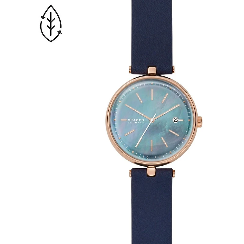 Montre Skagen Watch SKW2981