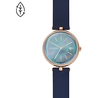 Montre Skagen Watch SKW2981