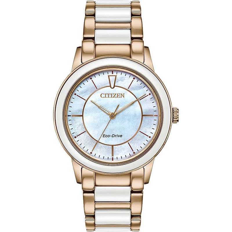 Montre Citizen Watch EM0743-55D