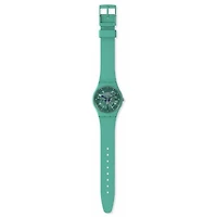 Montre Swatch Watch SO28G108