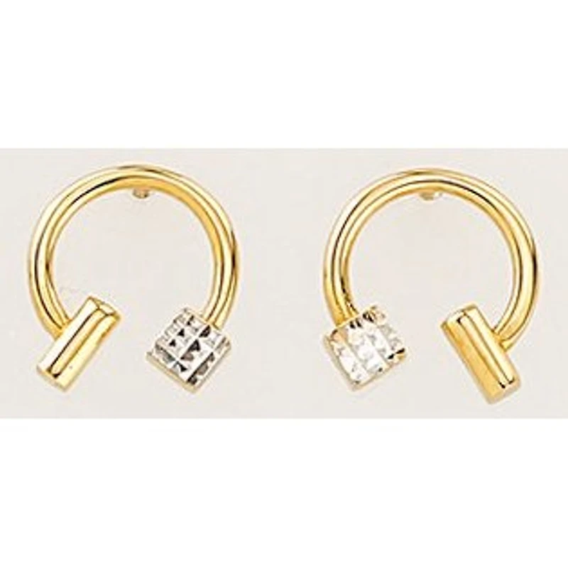 Earrings 10 Kt Roger Roy E213054YW