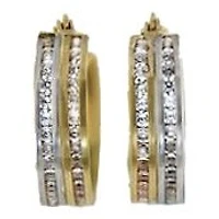 Boucles D’oreilles 10 Kt Roger Roy E200771-YW-FCZ