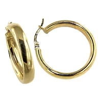 Earrings 10 Kt Roger Roy E0005X25-20SL