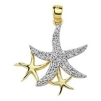 Pendentif 10 Kt Roger Roy P-AZP585