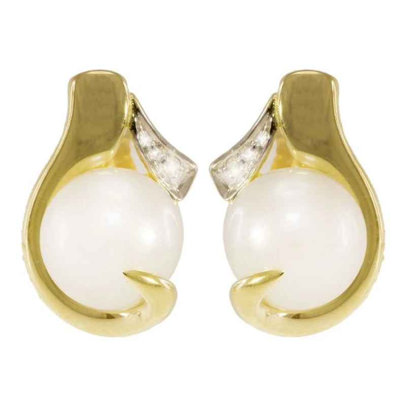 Earrings 10 Kt Roger Roy 261497