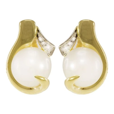 Earrings 10 Kt Roger Roy
