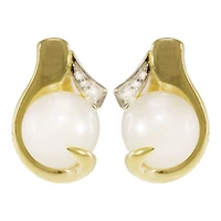 Earrings 10 Kt Roger Roy 261497