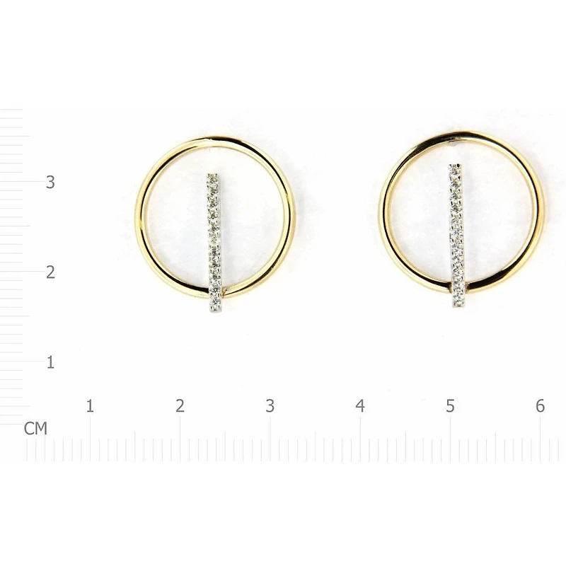 Earrings 10 Kt Roger Roy E200725YW