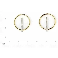 Earrings 10 Kt Roger Roy E200725YW