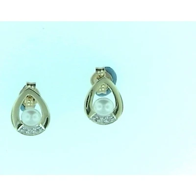 Earrings 10 Kt Roger Roy 268491