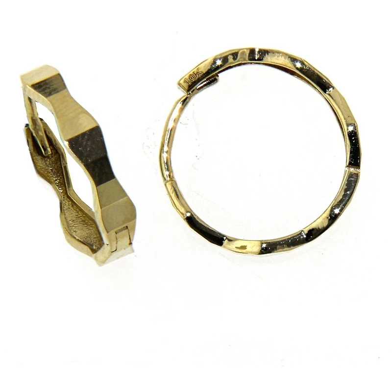 Earrings 10 Kt Roger Roy E2409-DC2