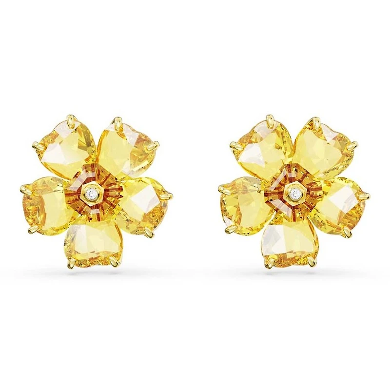 Boucles d’oreilles Swarovski 5650571