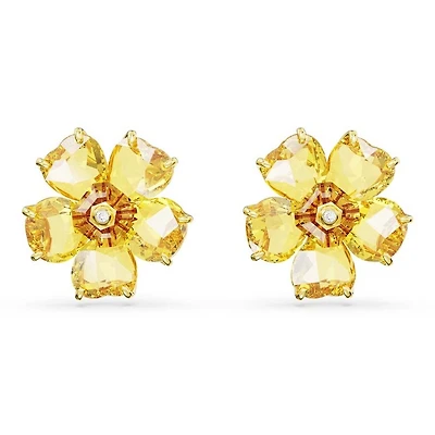 Boucles d’oreilles Swarovski 5650571