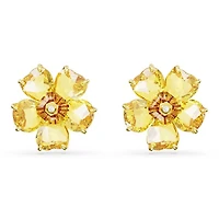 Boucles d’oreilles Swarovski 5650571