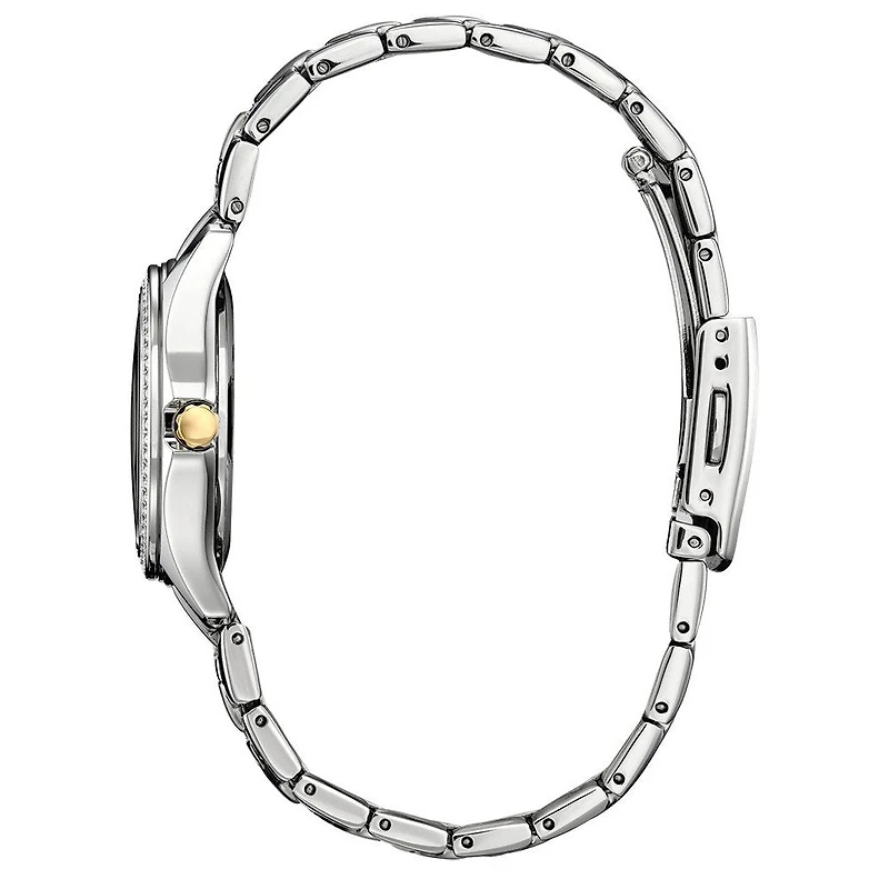 Montre Citizen Watch FE1146-71A