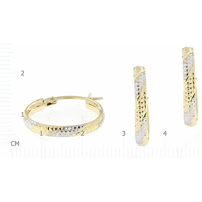 Earrings 10 Kt Roger Roy E210350YW