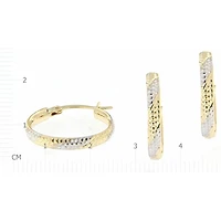 Earrings 10 Kt Roger Roy E210350YW