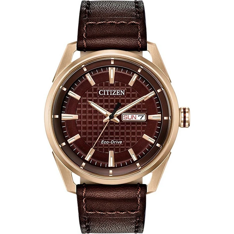 Montre Citizen Watch AW0083-08X