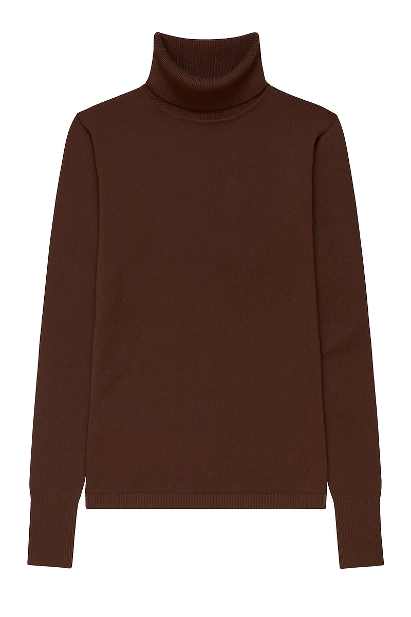 Solid turtleneck sweater