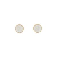 Silver Gold Glitter Inlay Disc Earrings