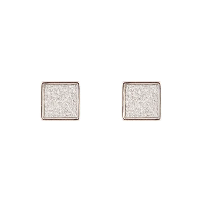 Silver Glitter Inlay Square Earrings