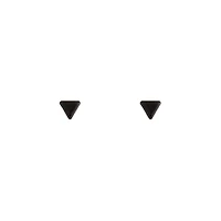 Black Solid Triangle Stud Earrings