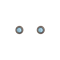Cracked Turquoise Round Stud Earrings