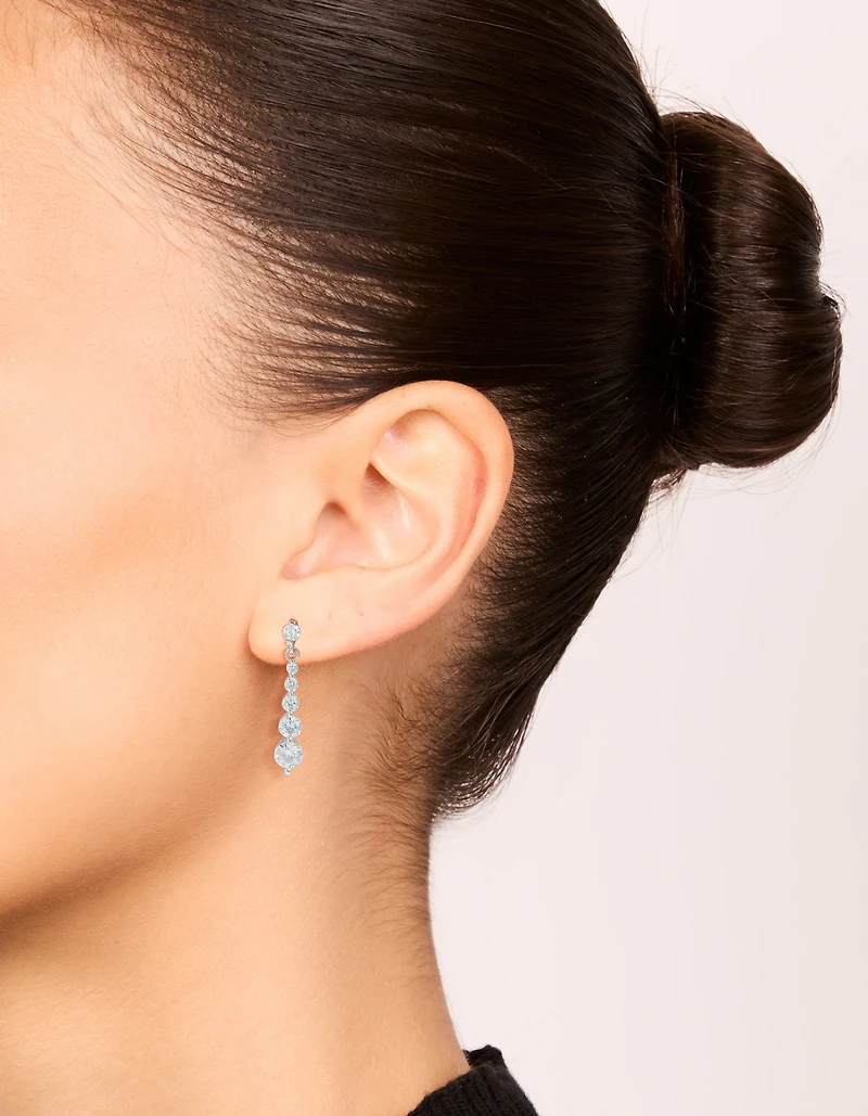 Small Graduated Crystal Drop Earrings