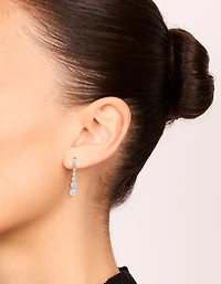 Small Graduated Crystal Drop Earrings