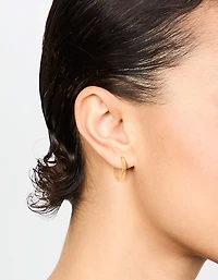 Gold Plated Titanium Medium Classic Hoop Earrings