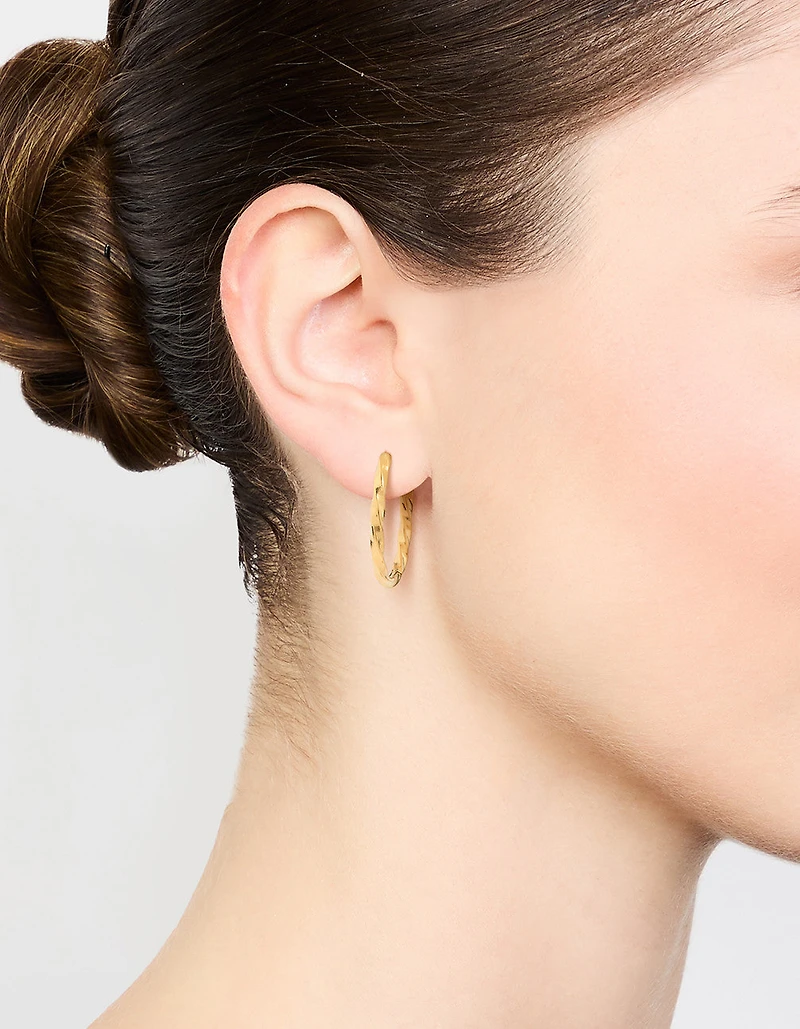 Waterproof Gold Plated Stainless Steel Twisted Hoop Earrings